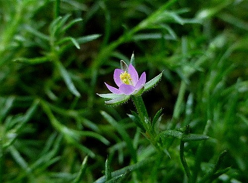 d0084473_1803198.jpg
