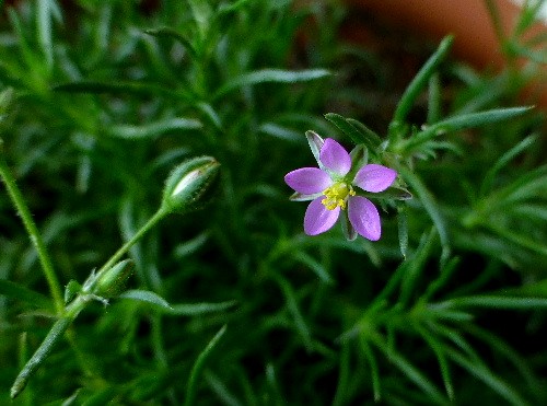 d0084473_1803912.jpg