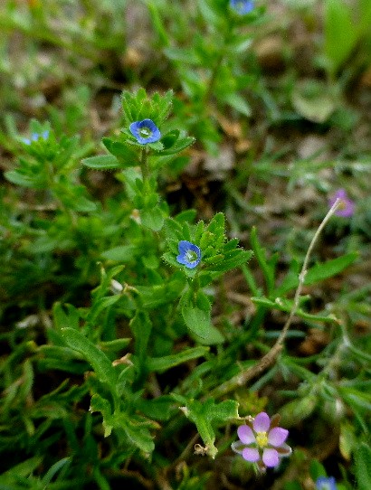 d0084473_1804763.jpg