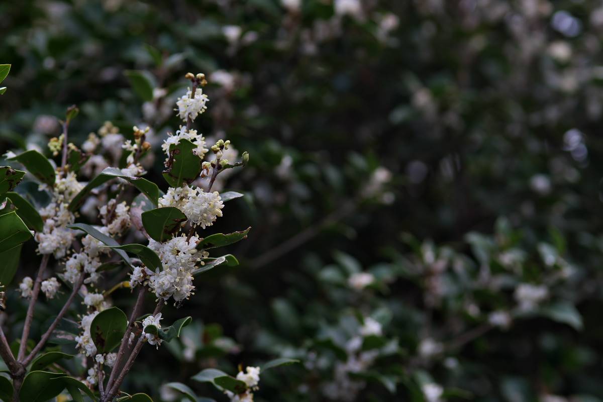 a0083081_23125325.jpg