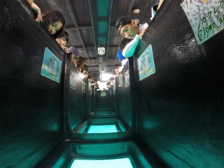 f0275885_144344.jpg