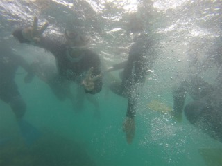 f0275885_1464197.jpg