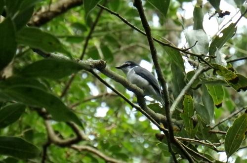 e0357387_11314329.jpg