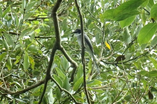e0357387_11330621.jpg