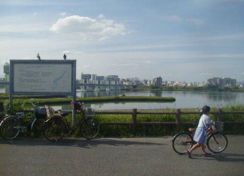 d0053294_2151873.jpg