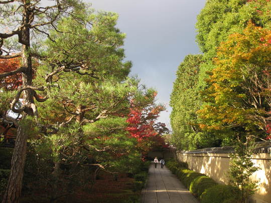 f0010195_0124575.jpg