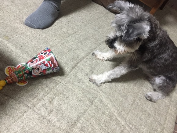 b0188998_22073978.jpeg