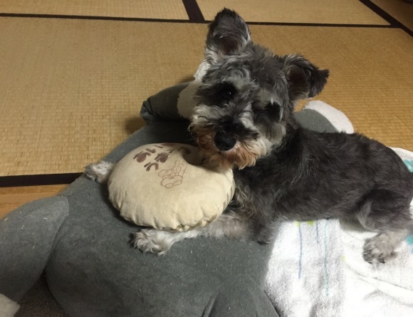 b0188998_22075344.jpeg