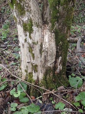c0187298_15165468.jpg