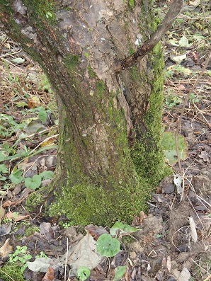 c0187298_17222177.jpg