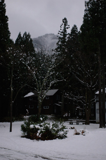 a0061599_80234.jpg