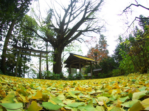 c0043403_21392597.jpg