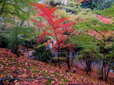 a0164011_2214695.jpg