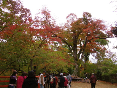 a0164011_2214749.jpg