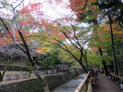 a0164011_2215359.jpg
