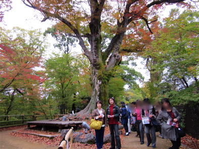 a0164011_2215399.jpg