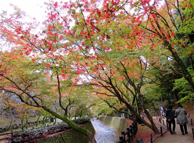 a0164011_2215811.jpg