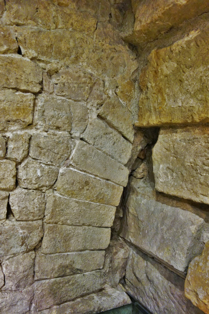 b0064411_06541202.jpg