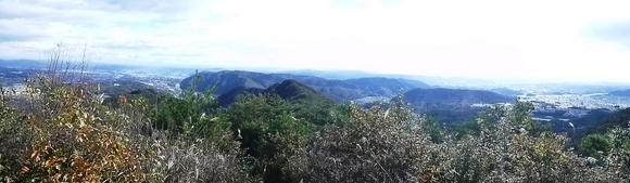 d0170615_165226.jpg
