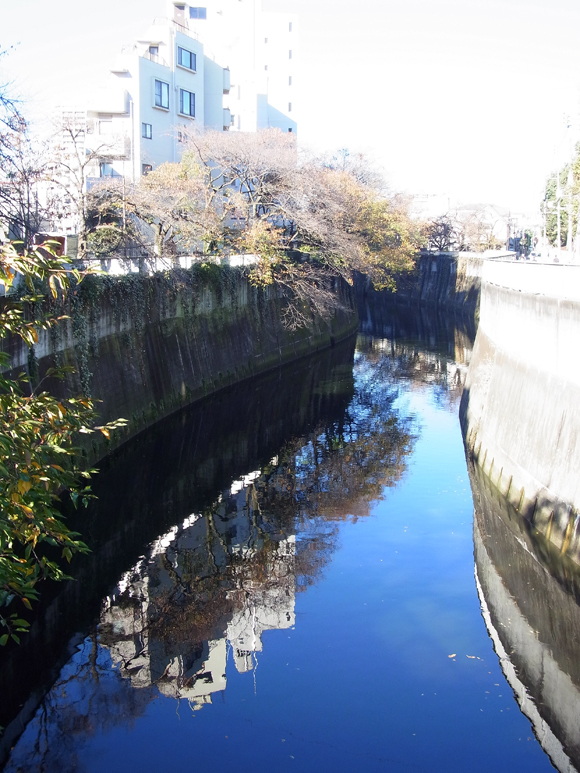 e0083517_02404962.jpg