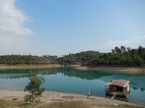 b0182718_6413413.jpg