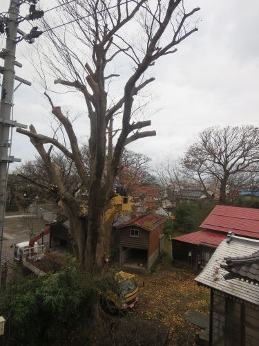 f0149422_17052958.jpg