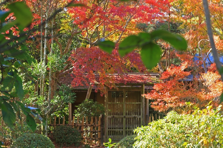 c0104227_1521216.jpg