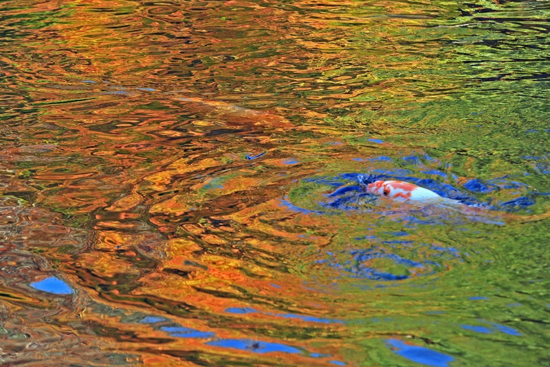 c0104227_1565330.jpg