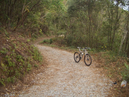 b0222530_9293268.jpg