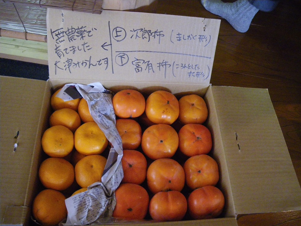 c0033636_22442372.jpg