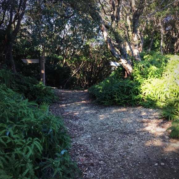 c0312349_16572840.jpg