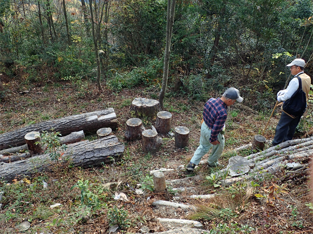 f0214649_459644.jpg