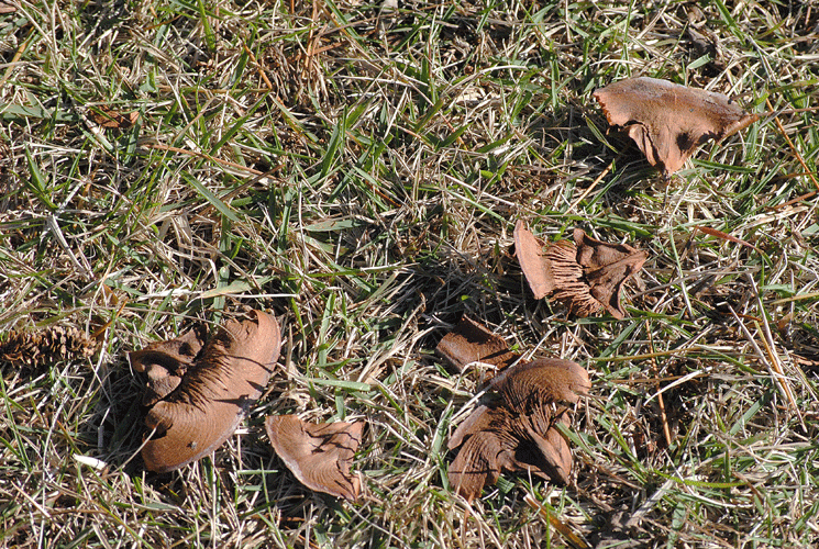 a0001354_2334366.gif