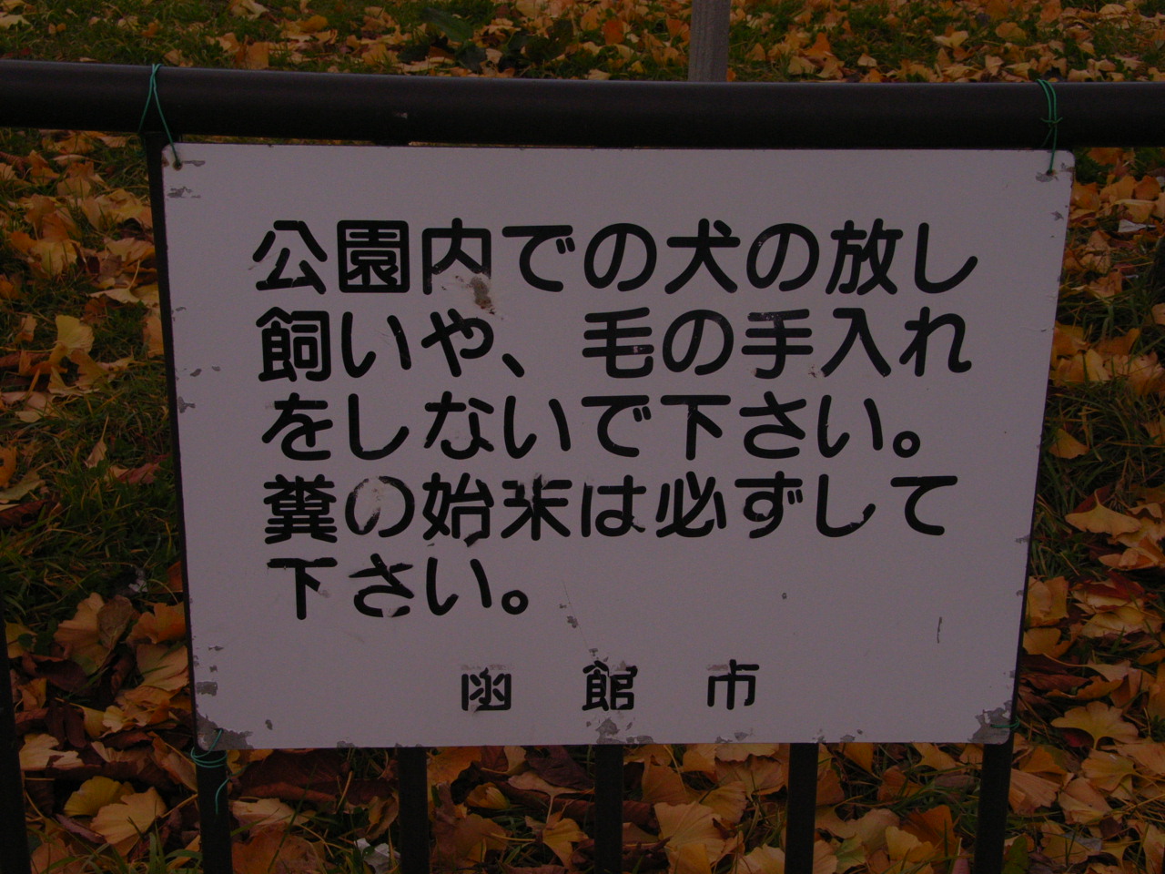 f0257756_1522130.jpg