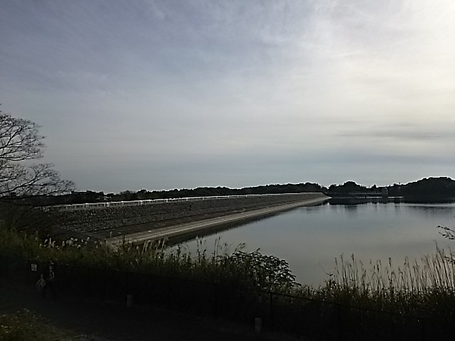 f0044557_2281238.jpg
