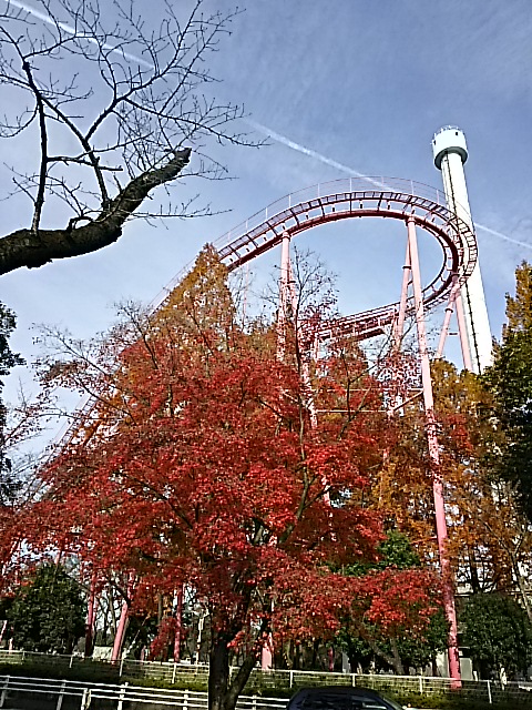 f0044557_2285191.jpg