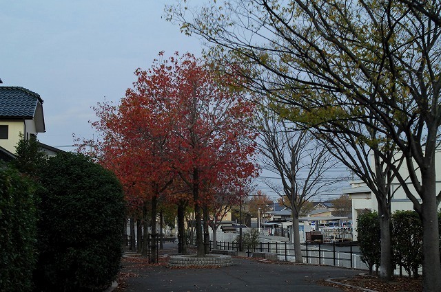 e0339960_09025932.jpg
