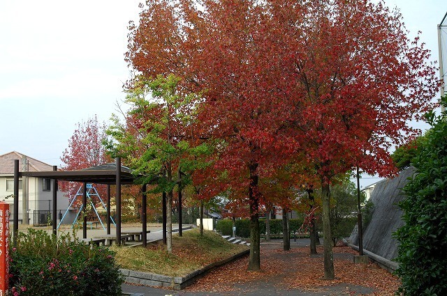 e0339960_09191108.jpg