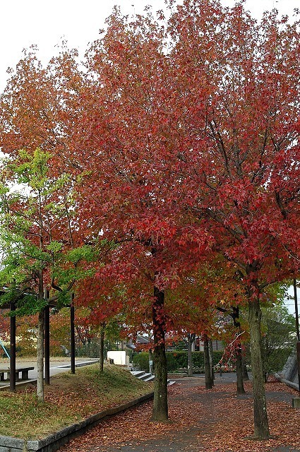 e0339960_09240188.jpg