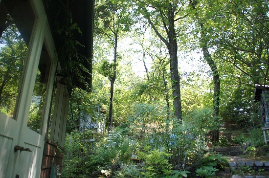 d0083761_22070092.jpg