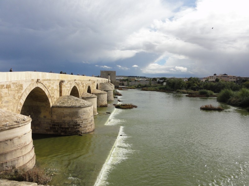 b0116765_21312363.jpg
