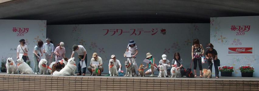 b0102267_19315579.jpg