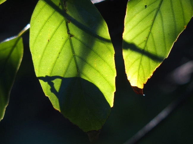 c0122670_08584513.jpg