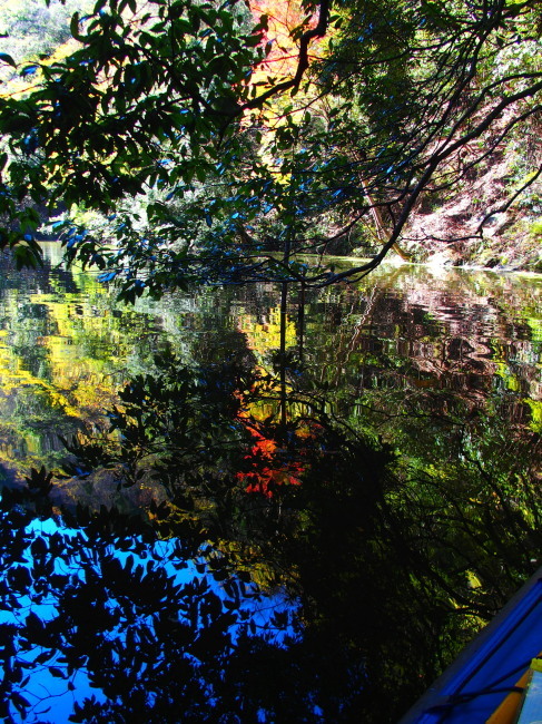 c0122670_09005705.jpg
