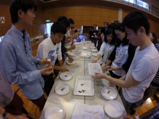 f0275885_7583655.jpg