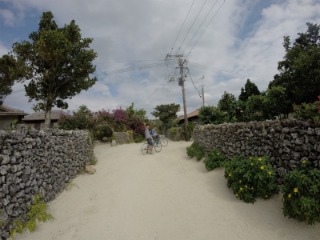 f0275885_803323.jpg