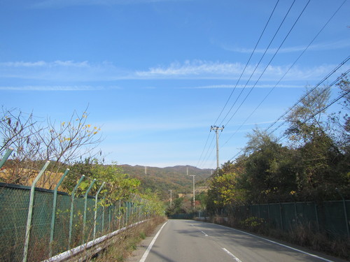 a0251786_20575975.jpg