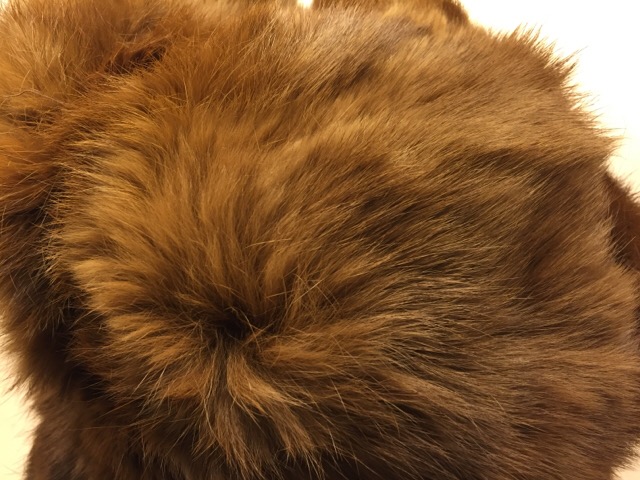 c0078587_164059.jpg