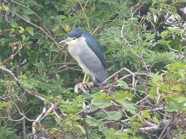 f0357487_2213154.jpg