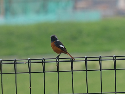 f0357487_22151892.jpg